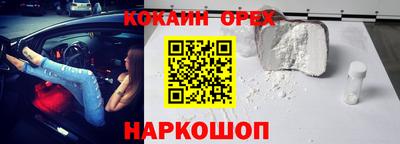 spice Новодвинск