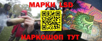 spice Новодвинск