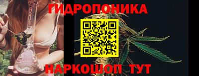 мдпв Новокубанск