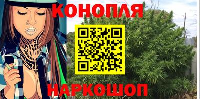 jwh Новозыбков