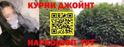 spice Новодвинск