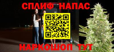 spice Новодвинск