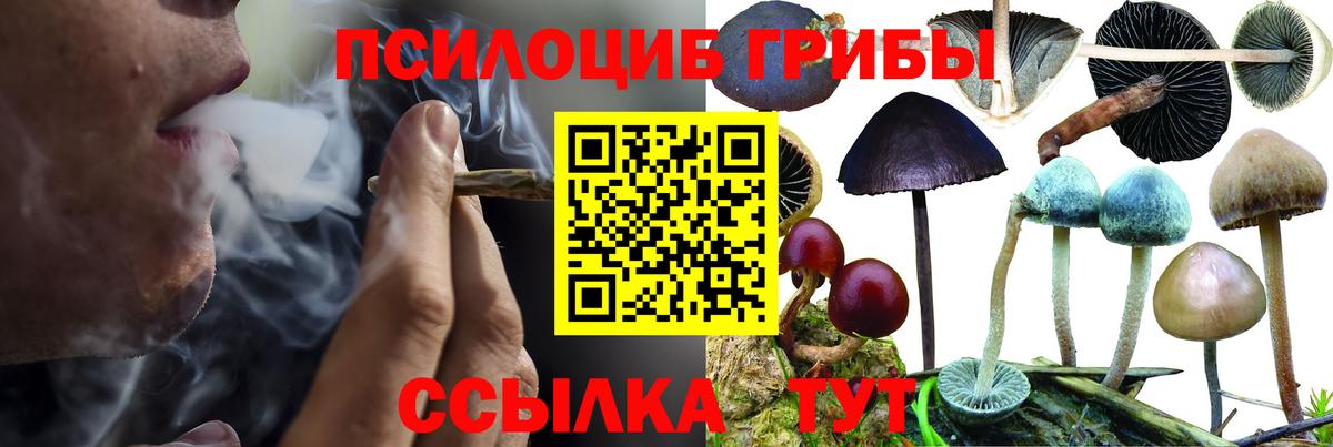 Тихорецк  Псилоцибиновые грибы Magic Shrooms  Вход с VPN 